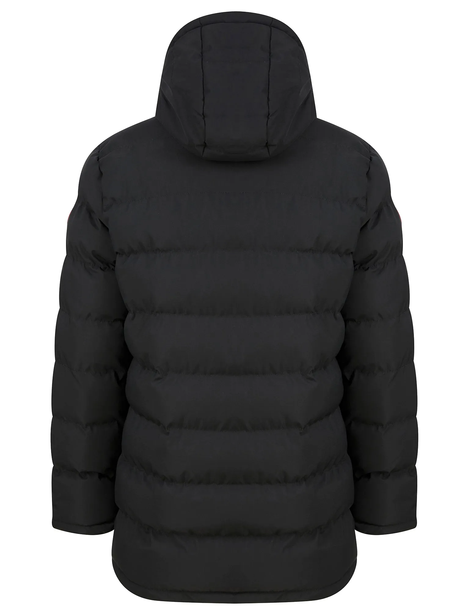 Alvar Quilted Puffer Jacket with Hood in Jet Black - Tokyo Laundry Active Tech