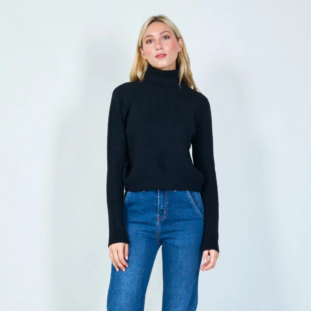 Classic turtleneck sweater wholesale