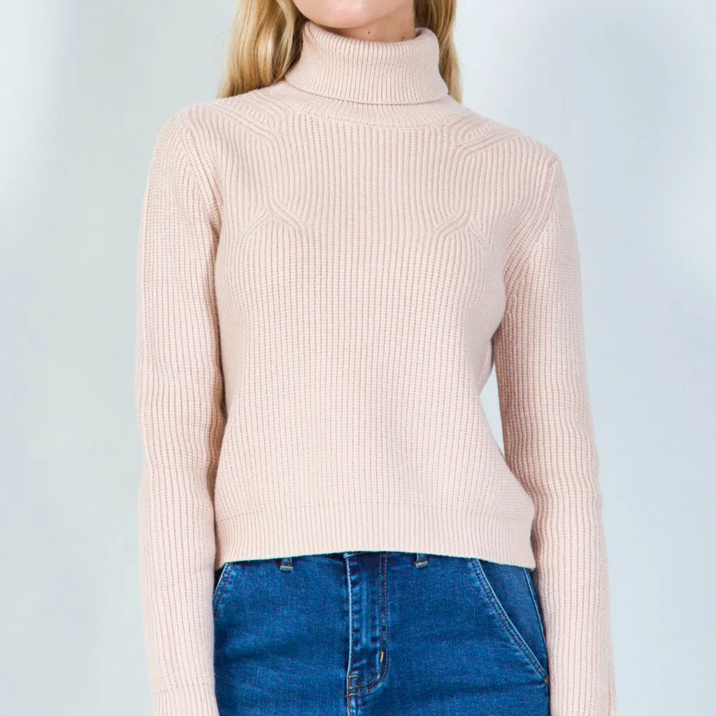 Classic turtleneck sweater wholesale