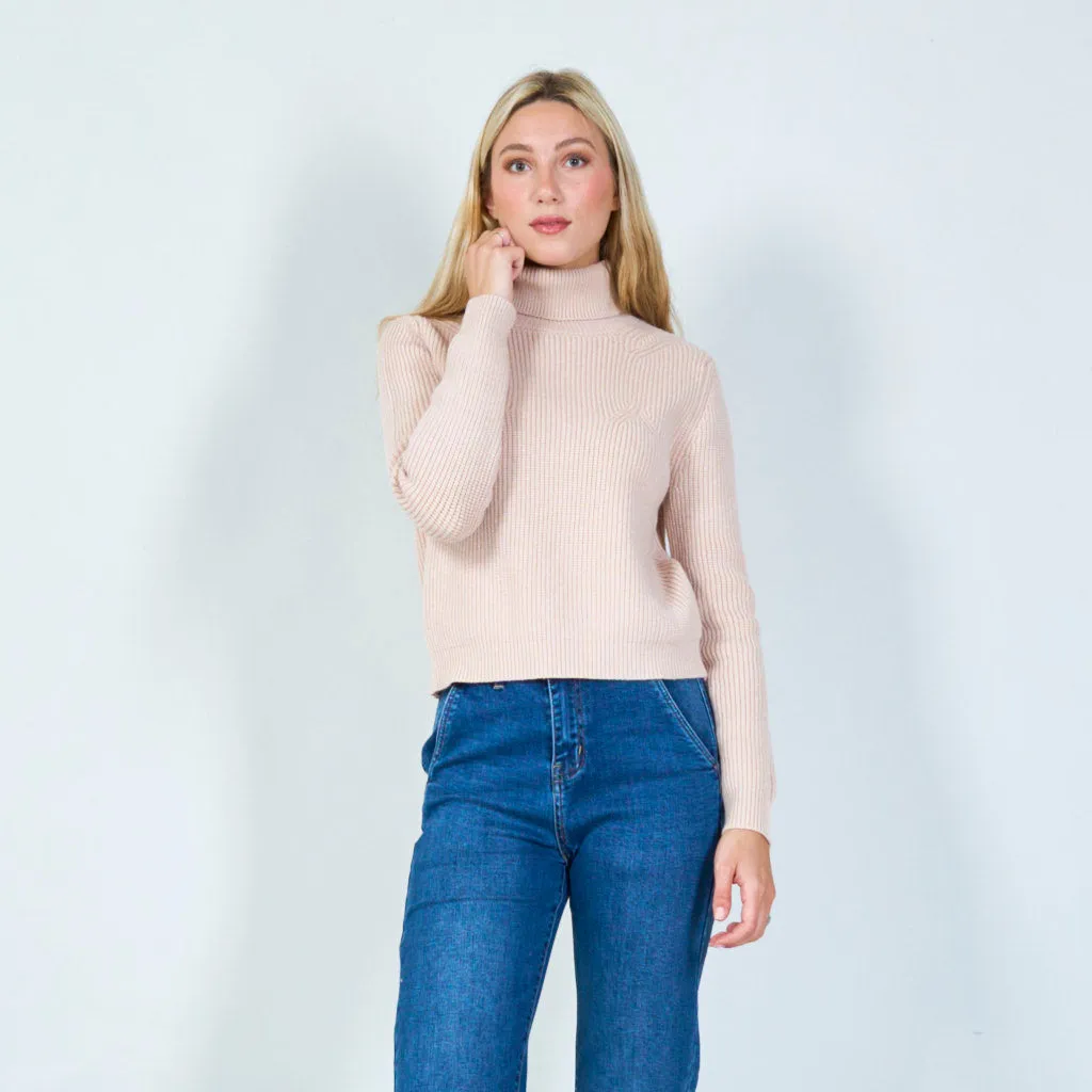 Classic turtleneck sweater wholesale