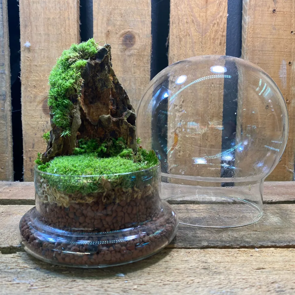 DOORGIFT TERRARIUMS Bell Pack (20 Sets)