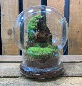 DOORGIFT TERRARIUMS Bell Pack (20 Sets)