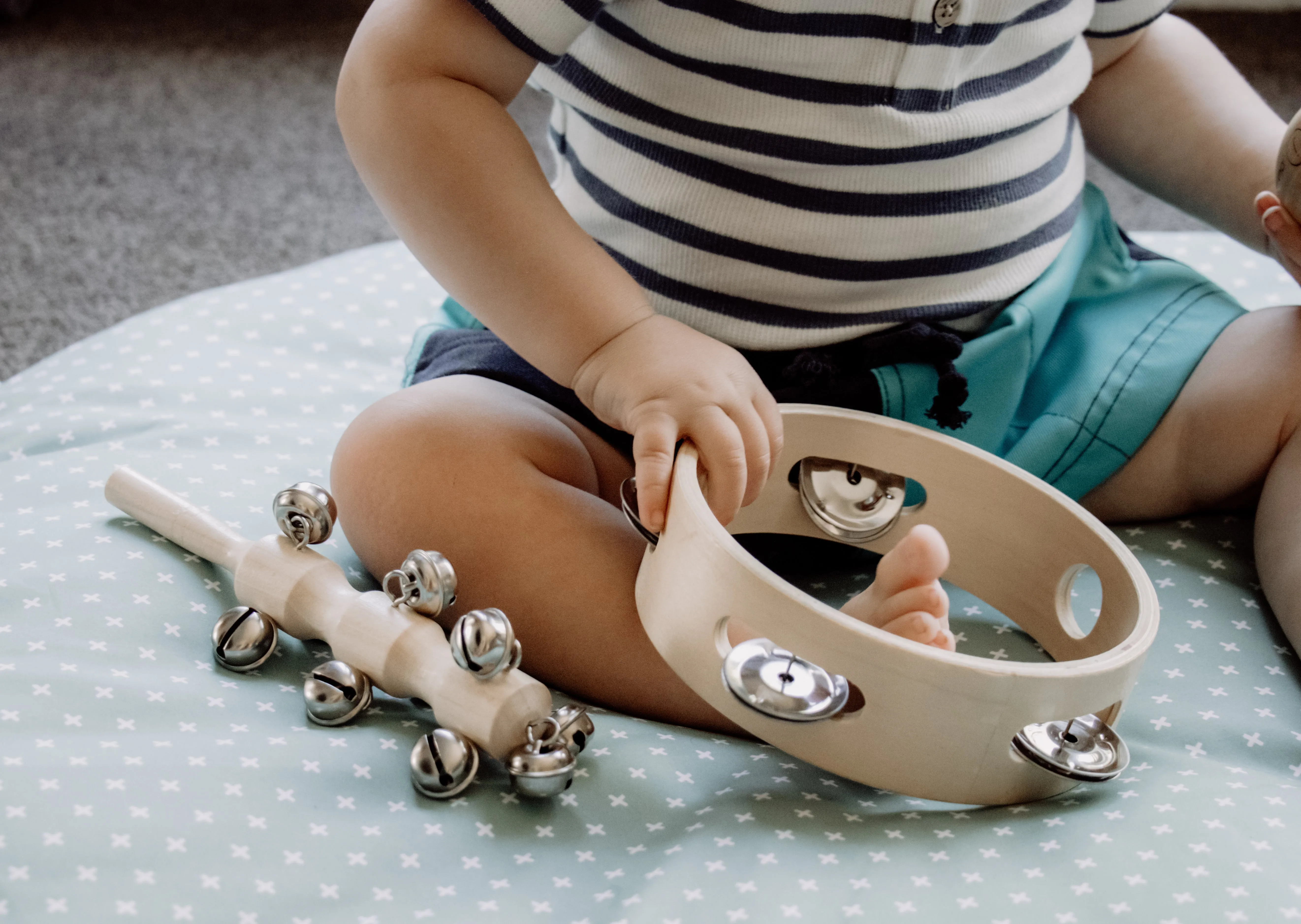 Jake   Co Tambourine