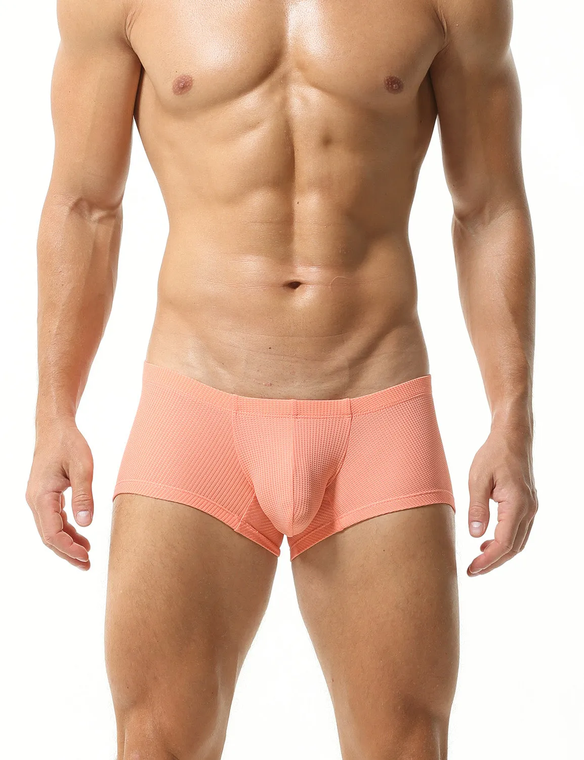 Solid Elastic Boxer Briefs 23202